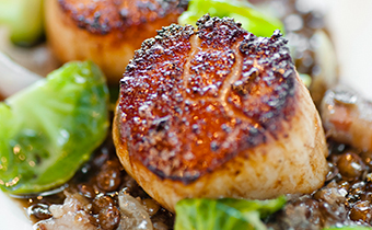 Bistro Bis Scallop dish