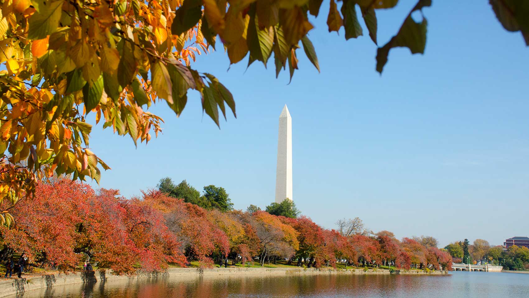 Washington Monument in the fall