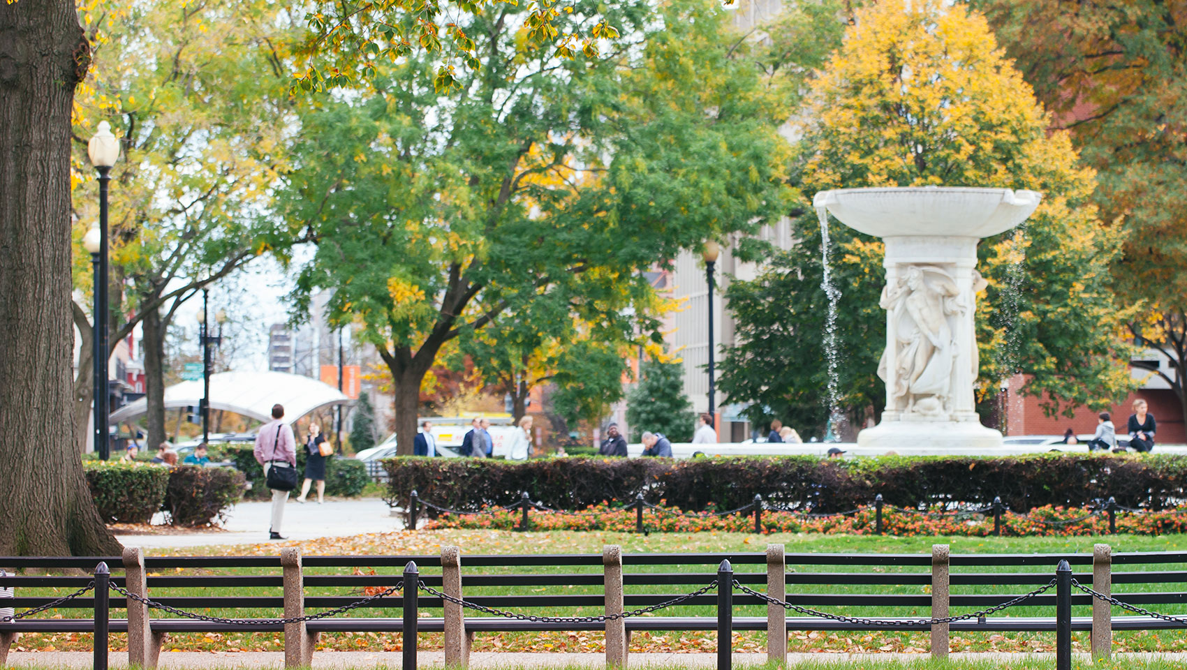 Washington DC in the fall