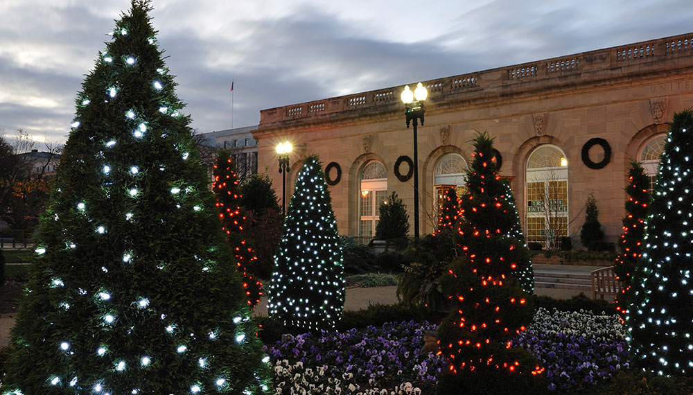 holiday trees decorated with lights outside of the botanical gardens
