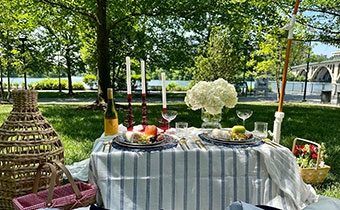 picnic setup