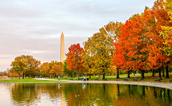 Washington Monument + fall foliage