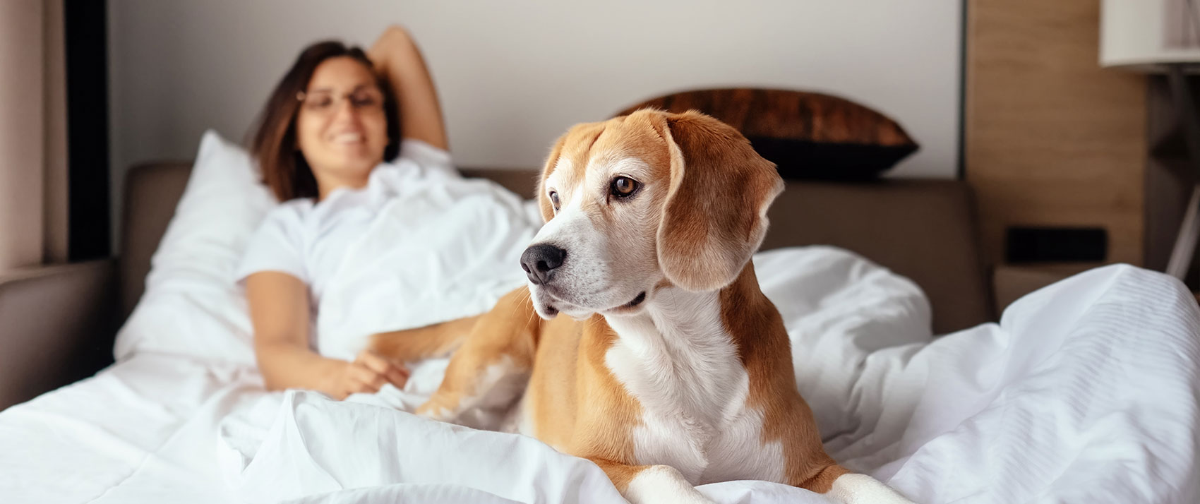 Dog and woman on hotel bed
